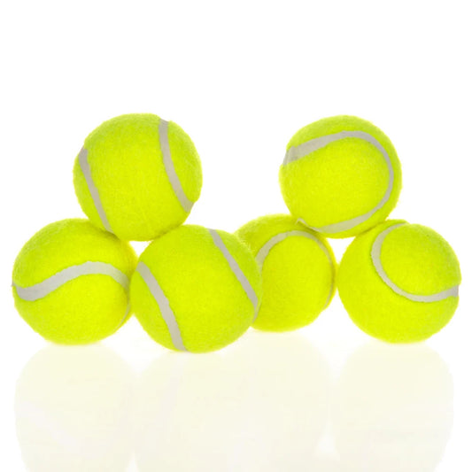 Bite Resistant Six Tennis Balls for Dog