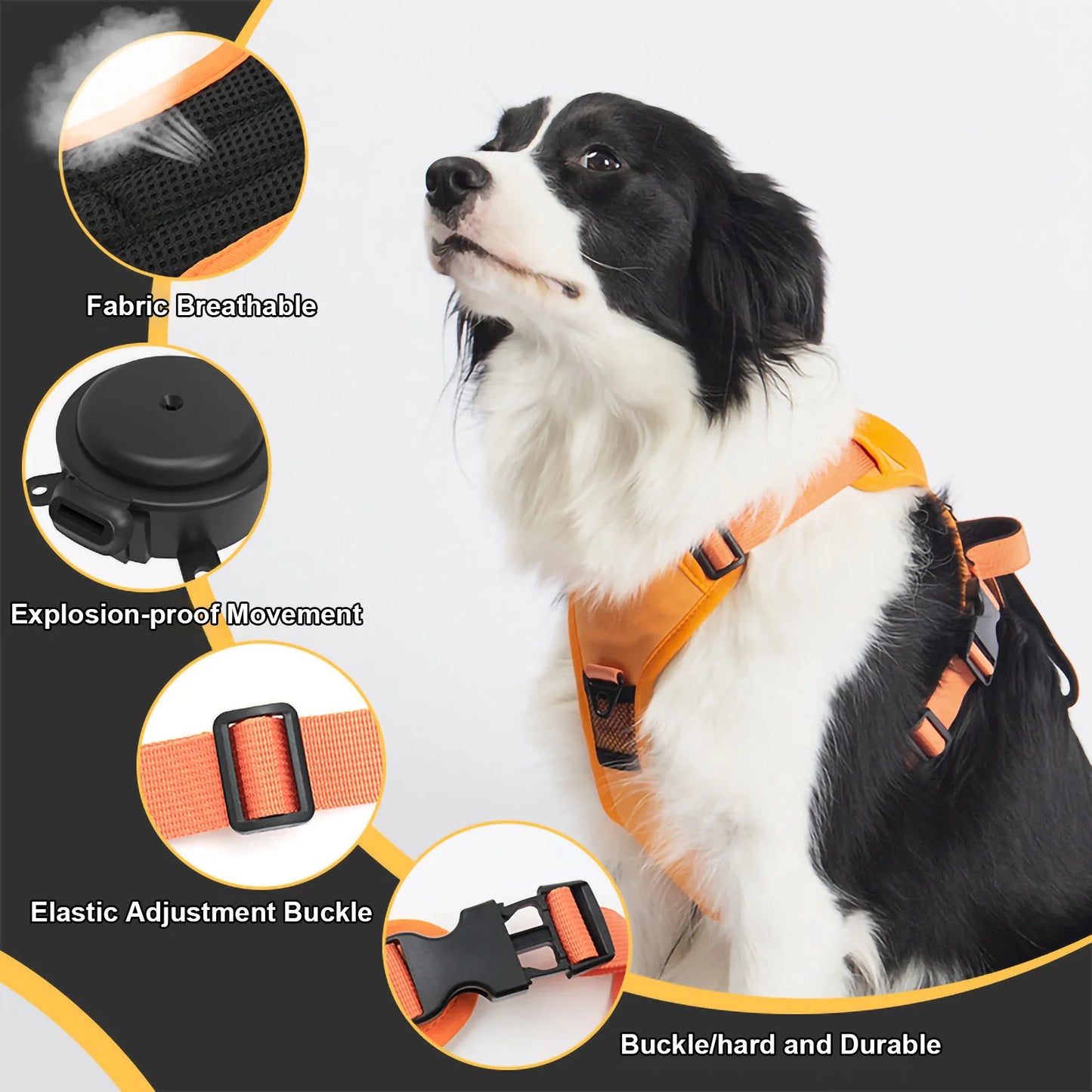 All in One Retractable Dog Harness Leash